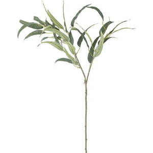 Umělý eukalyptus (výška 85 cm) Eucalyptus – Bloomingville obraz