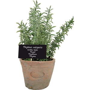 Umělá rostlina (výška 21, 5 cm) Thyme – Esschert Design obraz