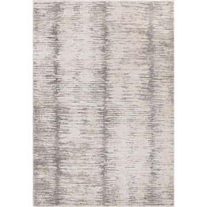 Koberec 200x300 cm Anders Grey – Asiatic Carpets obraz
