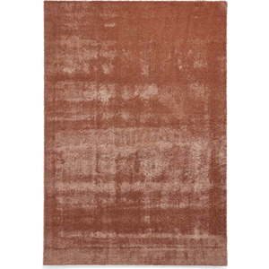 Pratelný koberec v cihlové barvě 120x170 cm Cove – Think Rugs obraz