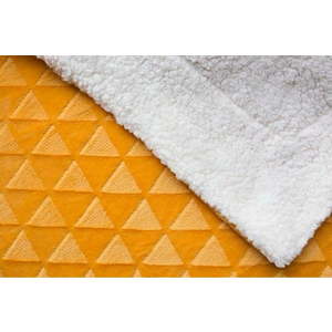 Deka z mikroplyše 150x200 cm Sherpa – Jerry Fabrics obraz