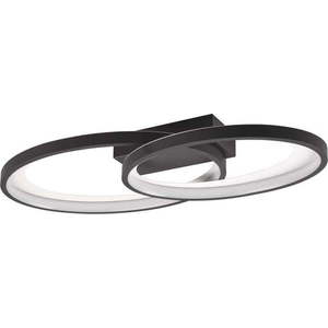 Černobílé LED stropní svítidlo 30x57 cm Malaga – Trio obraz