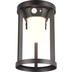 LED venkovní svítidlo se senzorem pohybu (výška 21 cm) Carmo – Trio obraz