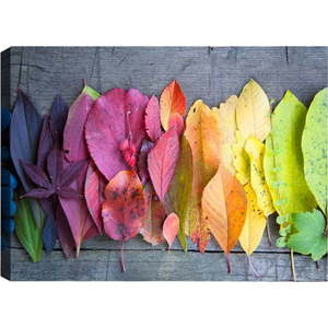 Obraz Tablo Center Autumn Palette, 100 x 70 cm obraz