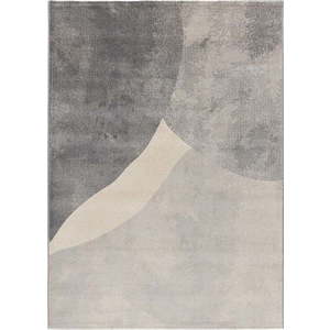 Šedý koberec 80x150 cm Monic – Universal obraz