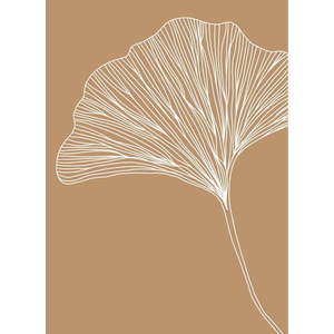 Plakát 29x41 cm Gingko – Veronika Boulová obraz