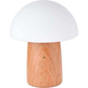 Stmívatelná stolní lampa v přírodní barvě se skleněným stínidlem (výška 32 cm) Alice – Gingko obraz