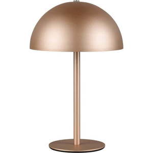 LED stolní lampa v bronzové barvě s kovovým stínidlem (výška 21 cm) Munoz – Trio obraz