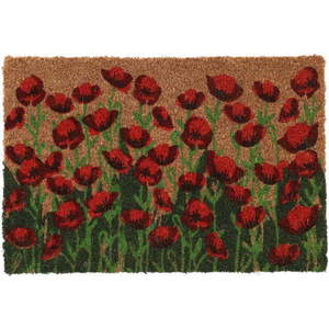 Rohožka z kokosového vlákna 40x60 cm - Esschert Design obraz