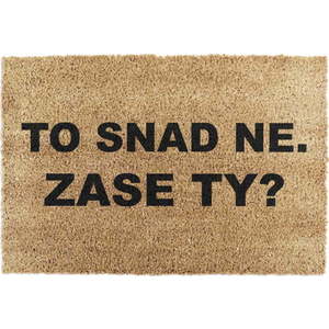 Rohožka z kokosového vlákna 40x60 cm Zase Ty? – Artsy Doormats obraz