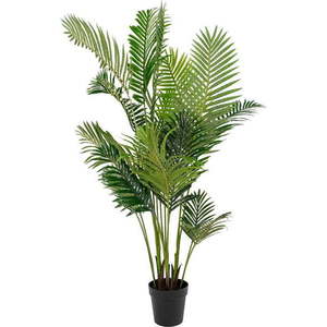 Umělá palma (výška 175 cm) Areca – House Nordic obraz