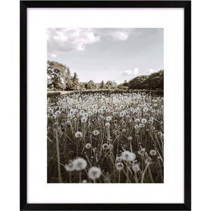 Obraz 40x50 cm Meadow – knor obraz