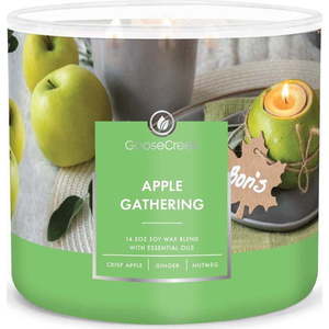 Vonná sojová svíčka doba hoření 35 h Apple Gathering – Goose Creek obraz