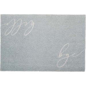 Rohožka 40x60 cm Hello Bye – Artsy Doormats obraz