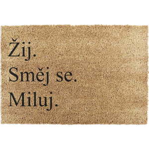 Rohožka z kokosového vlákna 40x60 cm Žij a Miluj – Artsy Doormats obraz