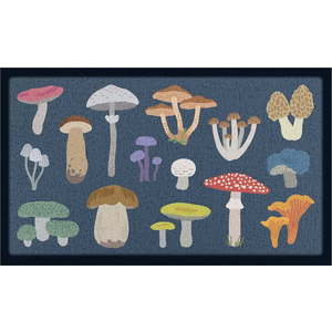 Rohožka 40x70 cm Mixed Wild Mushroom – Artsy Doormats obraz