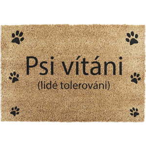 Rohožka z kokosového vlákna 40x60 cm Psi vítáni – Artsy Doormats obraz