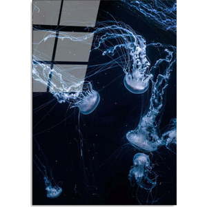Skleněný obraz 70x100 cm Jelly Fish – Wallity obraz