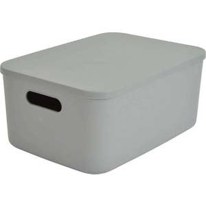 Šedý plastový úložný box s víkem 35, 5x25, 5x16 cm – Homéa obraz
