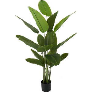 Umělá strelície (výška 150 cm) Canna – PT LIVING obraz