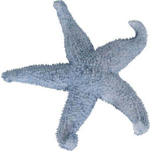Soška z polyresinu (výška 5 cm) Star – Ixia obraz