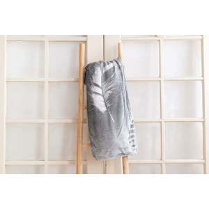 Deka z mikroplyše 200x220 cm Feather – My Home obraz