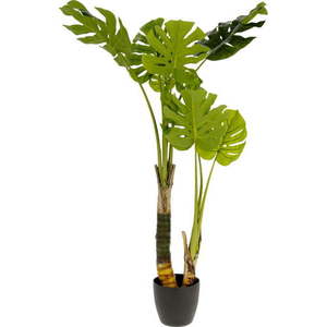 Umělá monstera (výška 130 cm) – Kave Home obraz