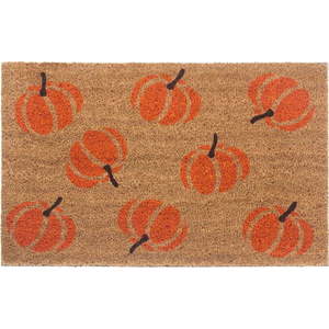 Rohožka 45x75 cm Mix Mats – Hanse Home obraz