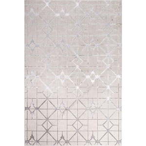 Koberec ve stříbrno-růžové barvě 230x160 cm Aurora - Asiatic Carpets obraz