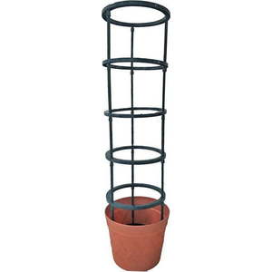 Podpora venkovních rostlin – Garden Pleasure obraz