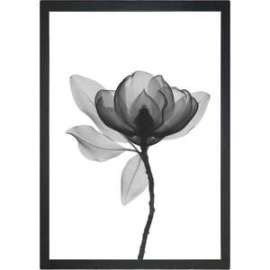 Obraz 24x29 cm Harmony Flower – Vavien Artwork obraz
