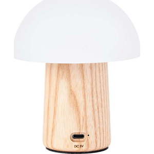 Stmívatelná stolní lampa v přírodní barvě se skleněným stínidlem (výška 13 cm) Alice – Gingko obraz
