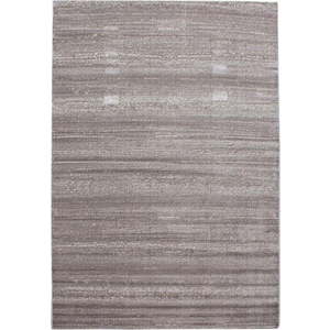 Béžový koberec 120x170 cm Plus – Ayyildiz Carpets obraz