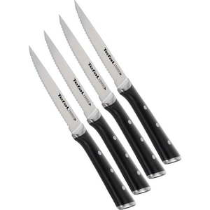 Sada nožů na steak z nerezové oceli 4 ks Ice Force – Tefal obraz