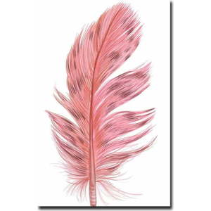Obraz 45x70 cm Feather – Wallity obraz