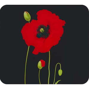 Kryt na zeď u sporáku z tvrzeného skla 50x56 cm Poppy – Maximex obraz