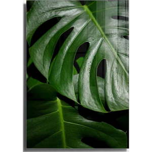 Skleněný obraz 70x100 cm Monstera – Wallity obraz