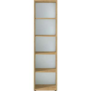 Přírodní knihovna v dekoru dubu 50x196 cm Monteria – Germania obraz