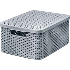Šedý plastový úložný box s víkem 29x39x19 cm Style – Curver obraz