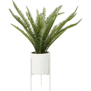 Umělá kapradina (výška 56 cm) Fiori – Premier Housewares obraz