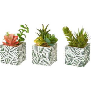 Umělé rostliny v sadě 3 ks (výška 12 cm) Cactus – Casa Selección obraz