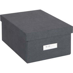 Úložný box s víkem Karin – Bigso Box of Sweden obraz