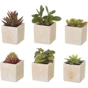 Umělé rostliny v sadě 6 ks (výška 9, 5 cm) Cactus – Casa Selección obraz