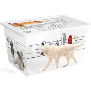 Bílý plastový úložný box s víkem 55x39x31 cm C Box Style – KIS obraz