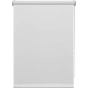 Bílá roleta 97x150 cm Mini Relax – Gardinia obraz
