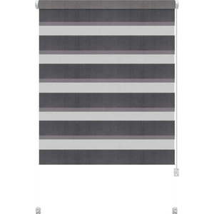 Tmavě šedá roleta den a noc 80x150 cm Zebra – Gardinia obraz