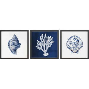 Obraz 30x30 cm Sea Treasure – Styler obraz