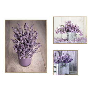 Obrazy v sadě 3 ks 40x50 cm Purple Flowers – knor obraz
