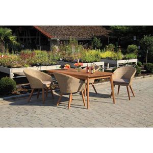Gardenson ZAHRADNÍ SESTAVA dřevo, kov, plast, textil obraz