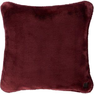Dieter Knoll POTAH NA POLŠTÁŘ 48/48 cm obraz